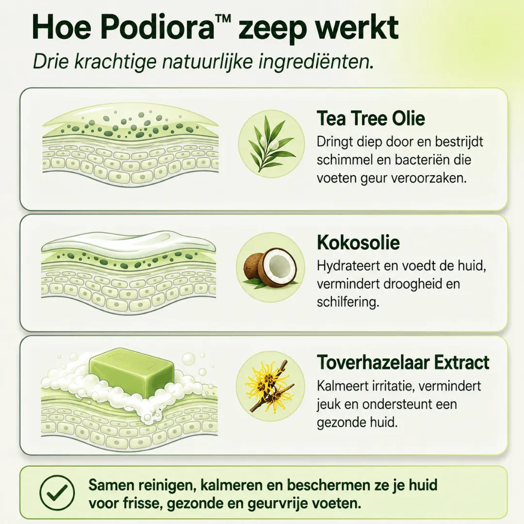 Podiora