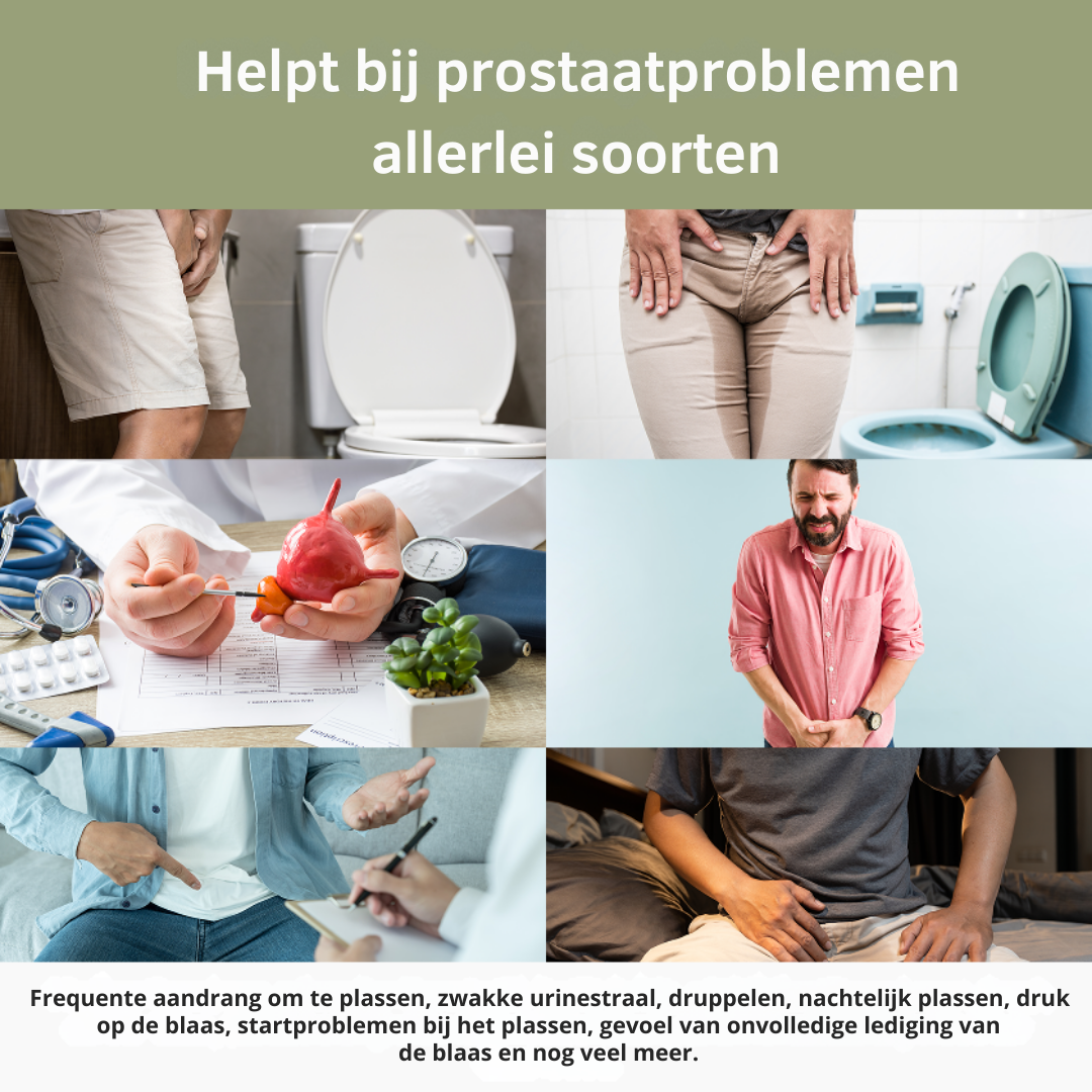 ProstaBalans