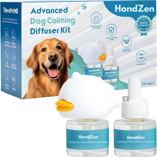 HondZen