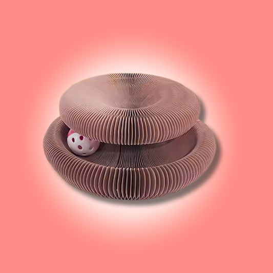 KattenKring