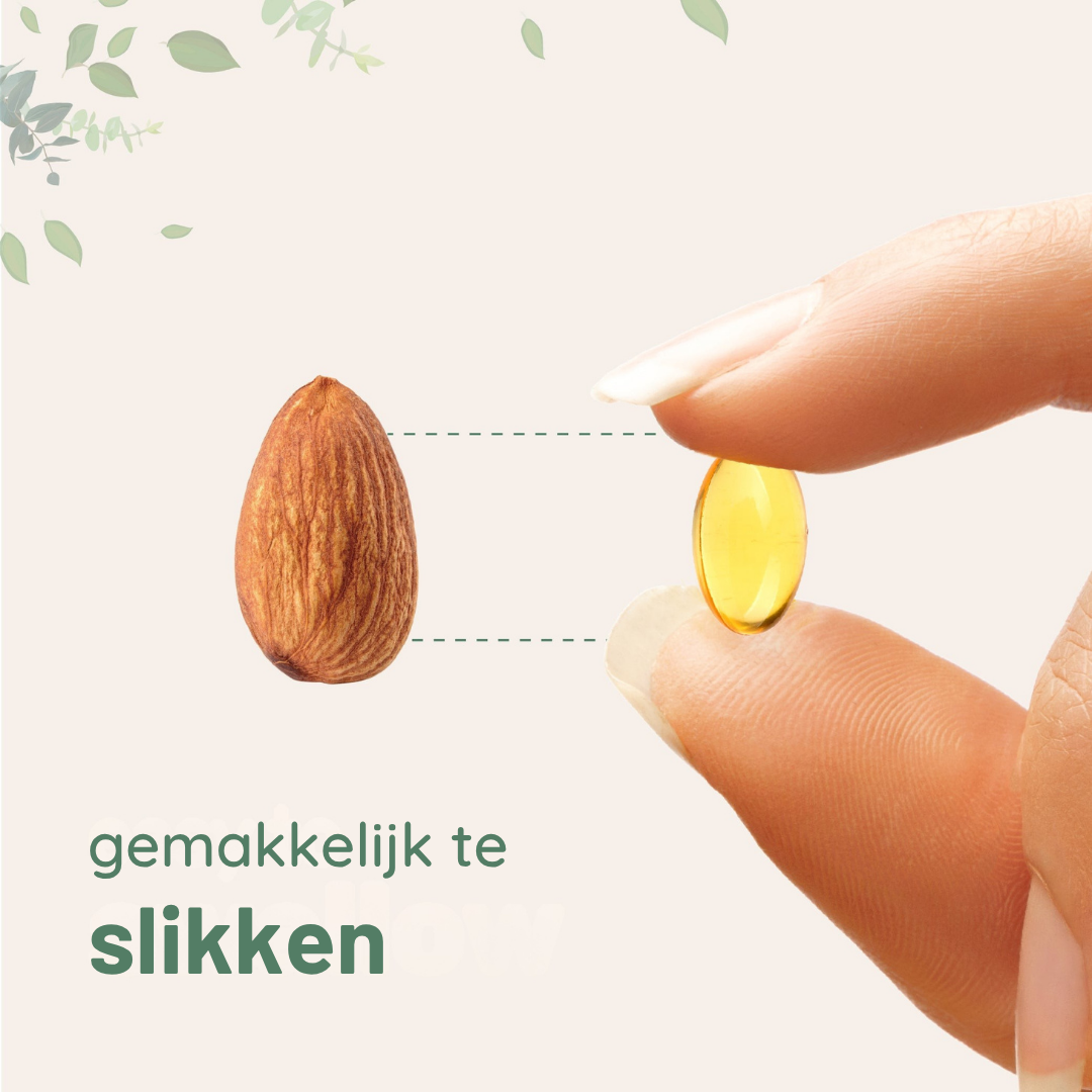 BinnenKracht