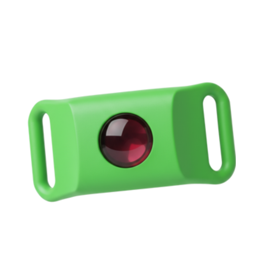 Paraschild