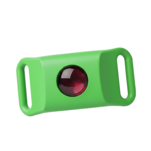 Paraschild