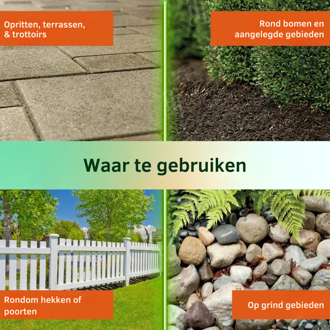 WortelWeg