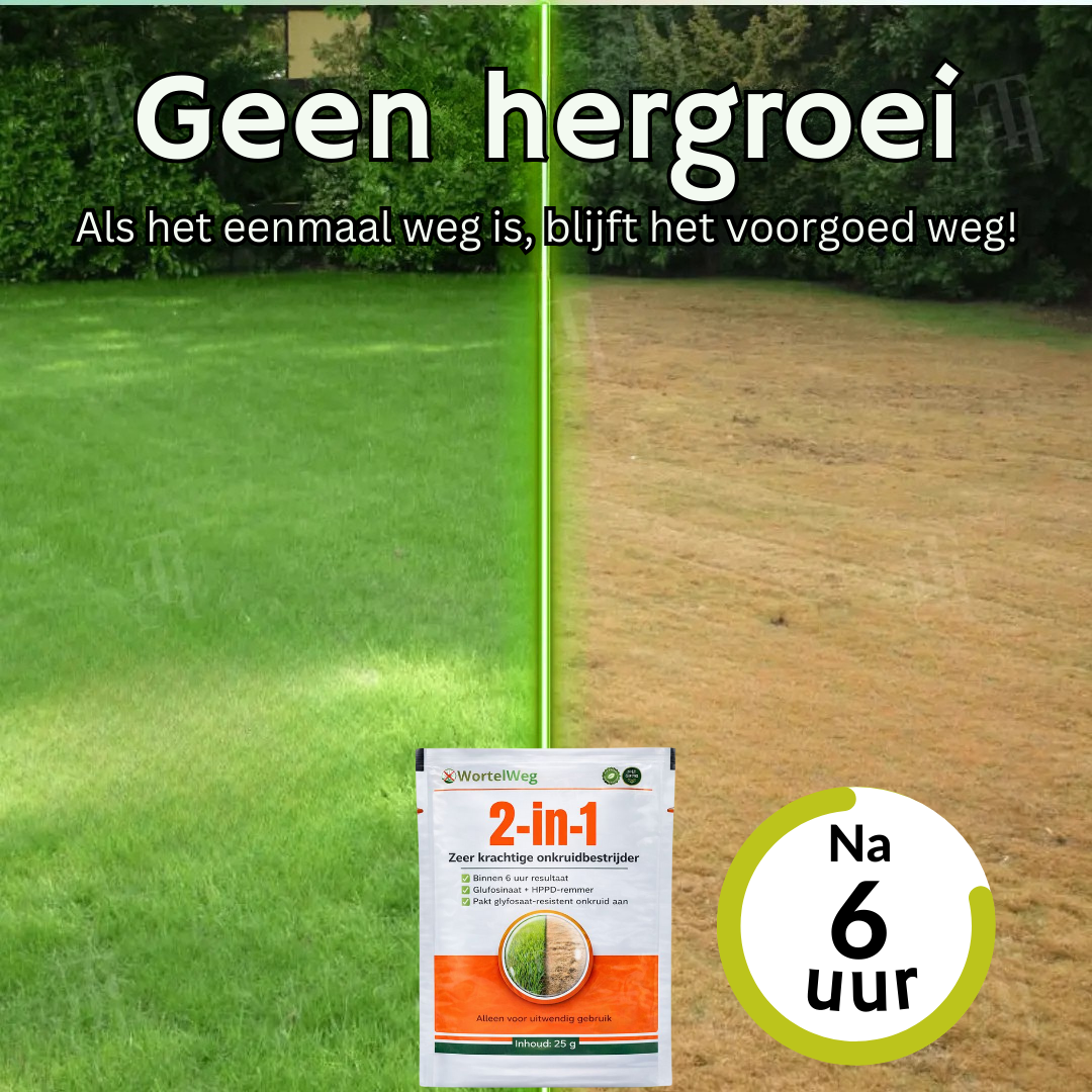 WortelWeg