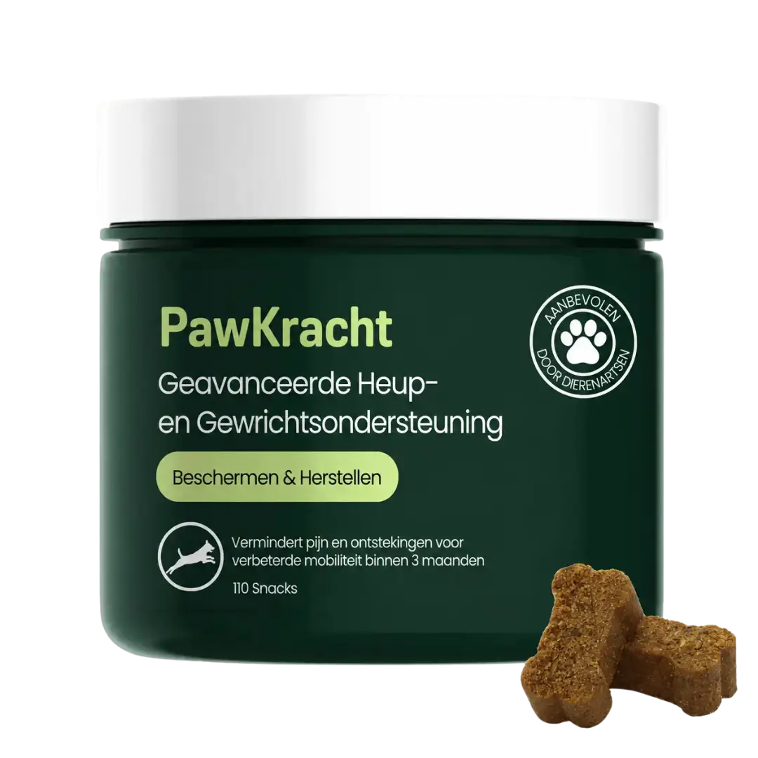 PawKracht