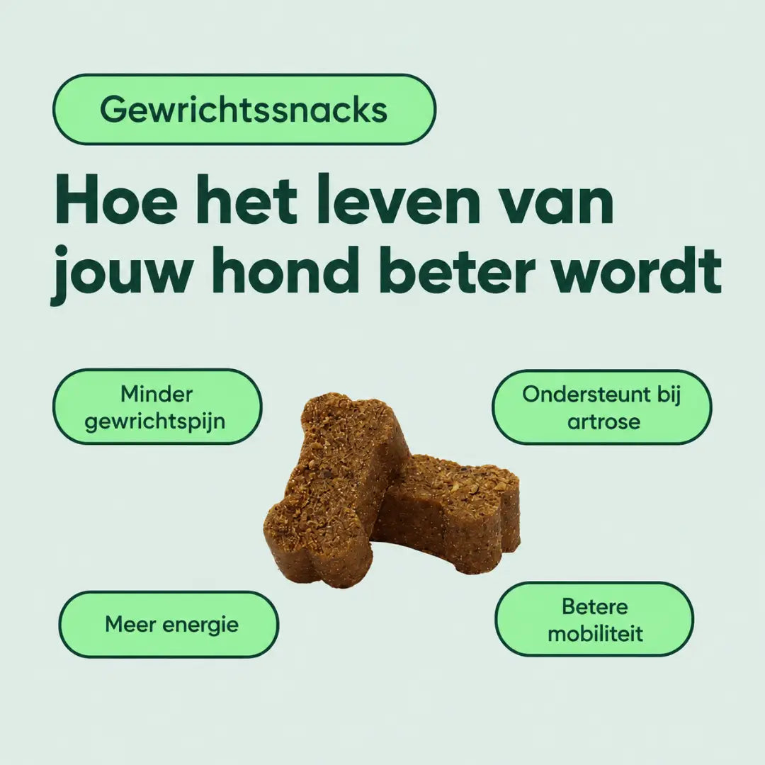 PawKracht