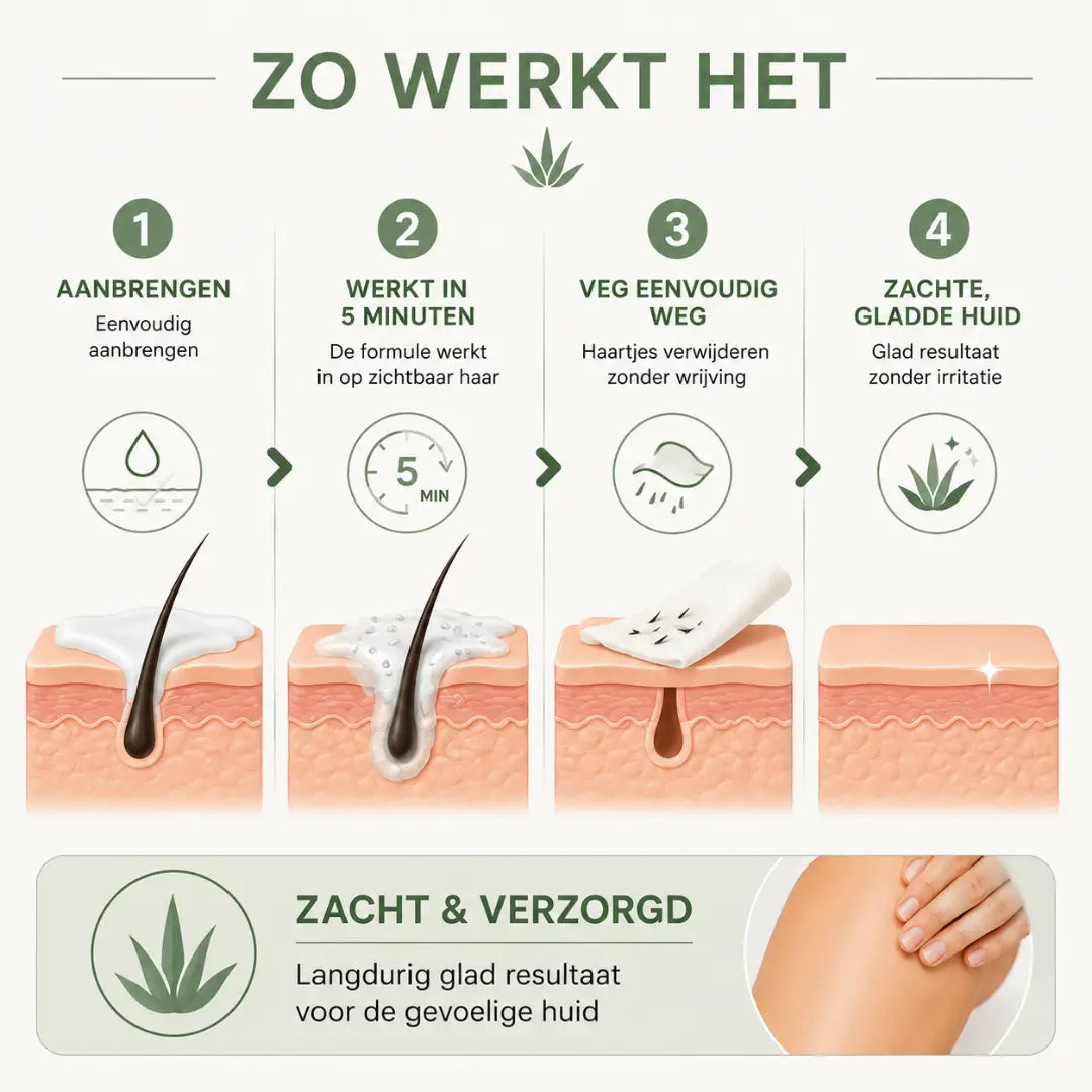 ZachtLijn