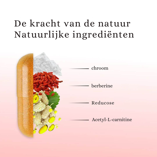 SuikerBalans